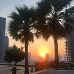 Tim Bales - @qtgtb - Instagram