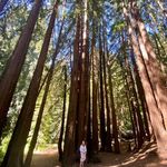 Tim Bales - @tim_bales123 - Instagram