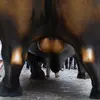 Tim Bales - @tim.bales0 - TikTok