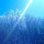 tim banner - @tim.banner - Instagram