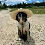 Tim Barker - @tim_wes_bar - Instagram