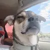 Tim Barker - @tim.lfavro - TikTok