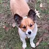 Tim Barnhill - @tim.barnhill7 - TikTok