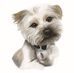 Tim Barnhill - Facebook