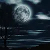 Tim Barton - @timm_5.7 - TikTok