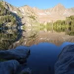 Tim Beardsley - @wapiti_44 - Instagram