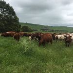 Tim beaton - @timbeaton332 - Instagram