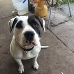 Tim Beattie - @timothybeattie01 - Instagram