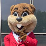 Tim Beaver - @mittimthebeaver - Instagram