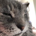 Tim Beckett - @beckett1999 - Instagram