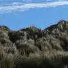 Tim Beckman239 - @timbecktim - TikTok