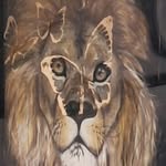 Tim Beebe - @timbeebe15 - Instagram