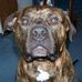 Tim Beebe - Facebook
