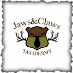 Tim Beer - @jawsandclawstaxidermy - Instagram