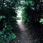 Tim Behrens - @tim__behrens - Instagram