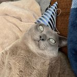 Tim Belcher - @tbelcher98 - Instagram