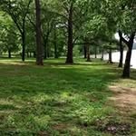 #tn tim - @bellevilletim - Instagram