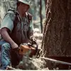 bennetttimber21 - @bennetttimber - TikTok