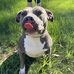 Tim Betts - Facebook