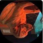 Timothy Betts - @timbetts_tp123 - Instagram