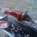 Tim Betz - Facebook