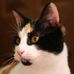 Tim Bigham - Facebook