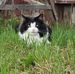 Timothy Bishop - Facebook