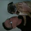 Tim Blair - @timblair5 - TikTok