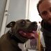 Tim Blair - Facebook