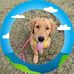 Tim Blank - Facebook
