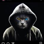 Tim Blank - @blank1924 - Instagram