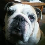 Tim Blank - @tblank74 - Instagram