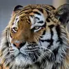 Tim Blank - @tim.blank4 - TikTok