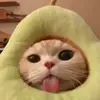 ʙʟɪꜱꜱ シ︎ - @tim.bliss - TikTok