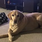 Tim Bliss - @timbliss5 - Instagram