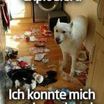 Tim Block - @logischertnttim - Instagram