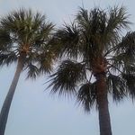 Tim Block - @tb2300 - Instagram
