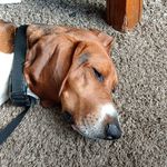 Tim Blount - @gresemonkey01 - Instagram