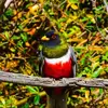 Tim Blount - @tim.blount4 - TikTok