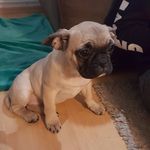 tim bolz - @bolz.tim - Instagram