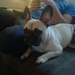 tim bolz - @raimonharwardt - Instagram