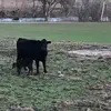 Tim Baumgardner443 - @timbaumgardner - TikTok