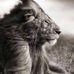 Tim Baumgartner - Facebook