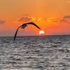 Tim Borton - @tim.borton04 - TikTok