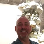 Tim Bostock - @timbostock808 - Instagram
