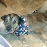 Tim Bowling - @timbowling62 - Instagram
