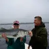 Tim Brand - @tim.brand8 - TikTok