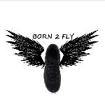 Tim Daley & Rodney Brannan - @teamborn2fly - Instagram