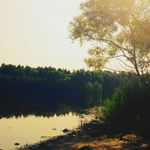 Tim Breen - @greenforbreen - Instagram