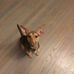 Timothy Bresnahan - Facebook